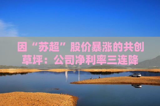 因“苏超”股价暴涨的共创草坪：公司净利率三连降