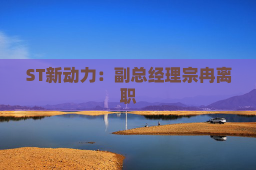 ST新动力：副总经理宗冉离职