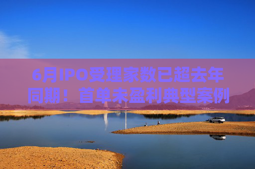 6月IPO受理家数已超去年同期！首单未盈利典型案例或本月出炉