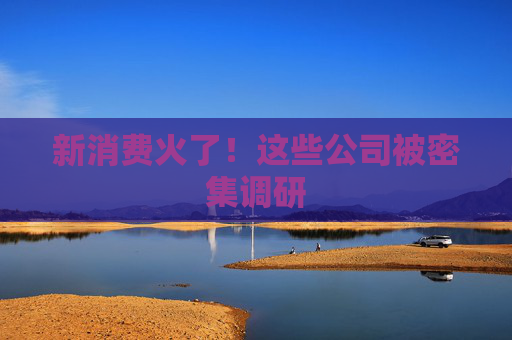 新消费火了！这些公司被密集调研
