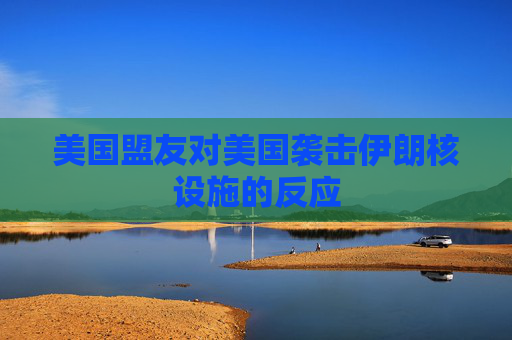 美国盟友对美国袭击伊朗核设施的反应