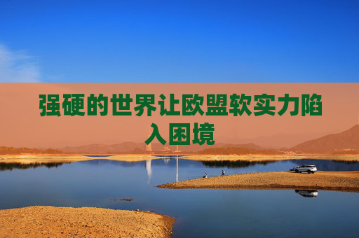 强硬的世界让欧盟软实力陷入困境