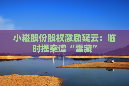 小崧股份股权激励疑云：临时提案遭“雪藏”