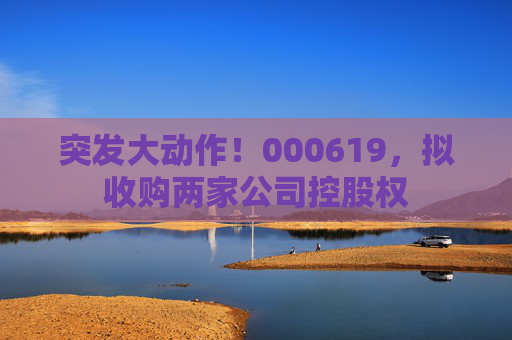 突发大动作！000619，拟收购两家公司控股权