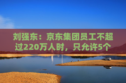 刘强东：京东集团员工不超过220万人时，只允许5个组织层级