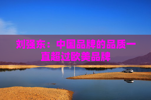 刘强东：中国品牌的品质一直超过欧美品牌