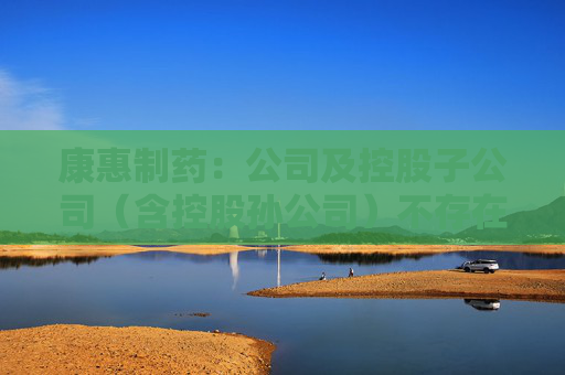 康惠制药：公司及控股子公司（含控股孙公司）不存在逾期担保情形