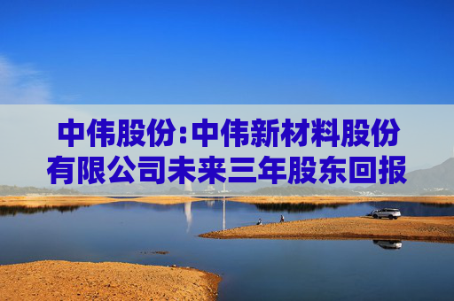 中伟股份:中伟新材料股份有限公司未来三年股东回报规划（2024-2026年）