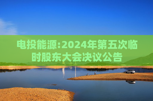 电投能源:2024年第五次临时股东大会决议公告