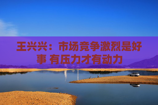 王兴兴：市场竞争激烈是好事 有压力才有动力