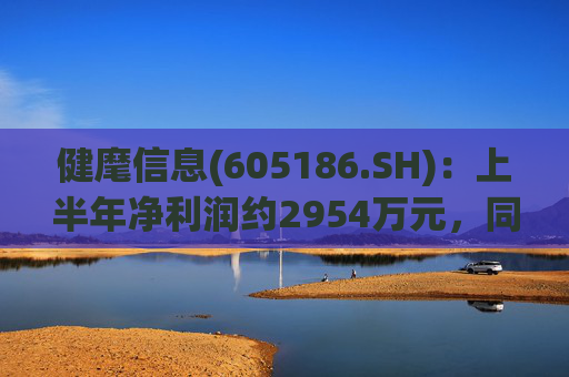 健麾信息(605186.SH)：上半年净利润约2954万元，同比减少47.06%