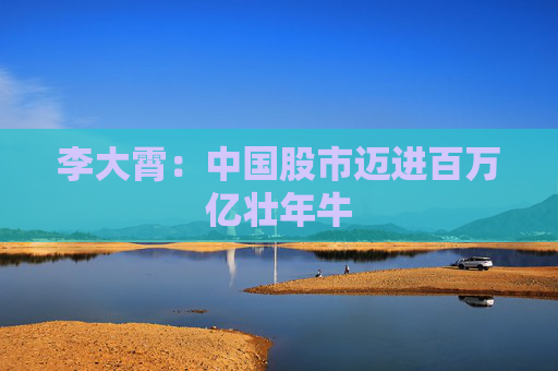 李大霄：中国股市迈进百万亿壮年牛