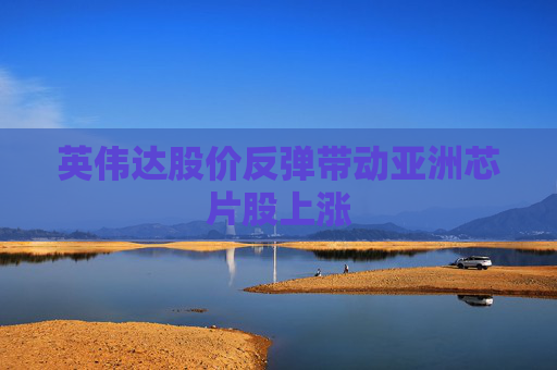 英伟达股价反弹带动亚洲芯片股上涨