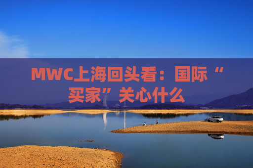 MWC上海回头看：国际“买家”关心什么