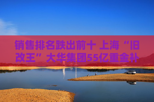 销售排名跌出前十 上海“旧改王”大华集团55亿重金补仓