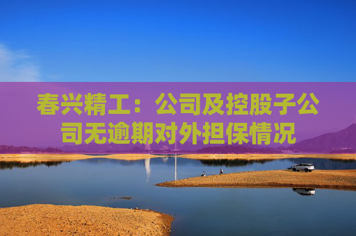 春兴精工：公司及控股子公司无逾期对外担保情况