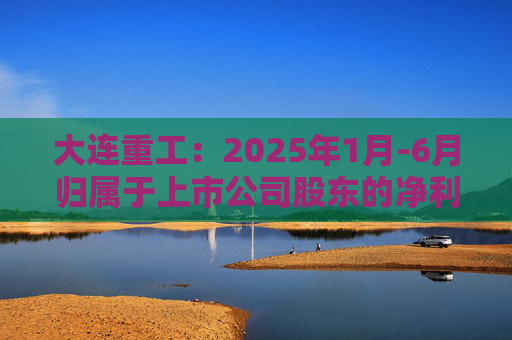 大连重工：2025年1月-6月归属于上市公司股东的净利润30460万元-32600万元
