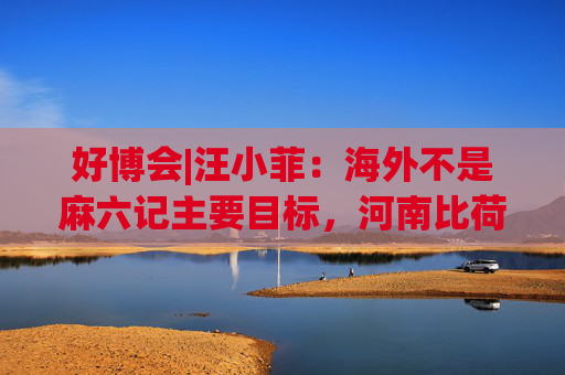 好博会|汪小菲：海外不是麻六记主要目标，河南比荷兰更有市场
