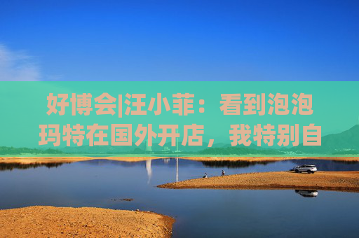好博会|汪小菲：看到泡泡玛特在国外开店，我特别自豪