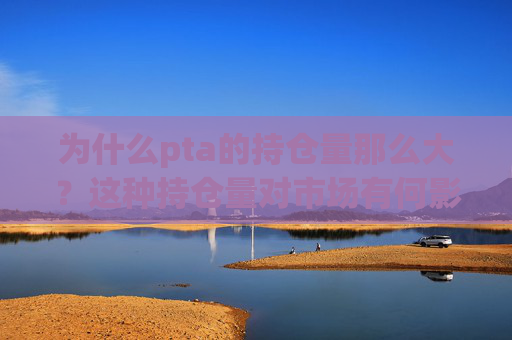 为什么pta的持仓量那么大？这种持仓量对市场有何影响？