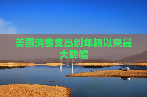 美国消费支出创年初以来最大降幅