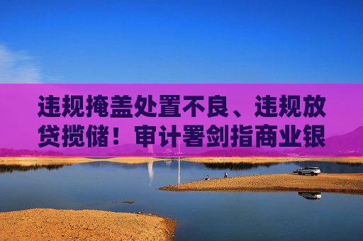 违规掩盖处置不良、违规放贷揽储！审计署剑指商业银行乱象