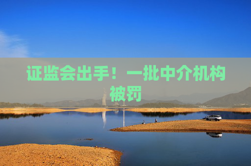 证监会出手！一批中介机构被罚