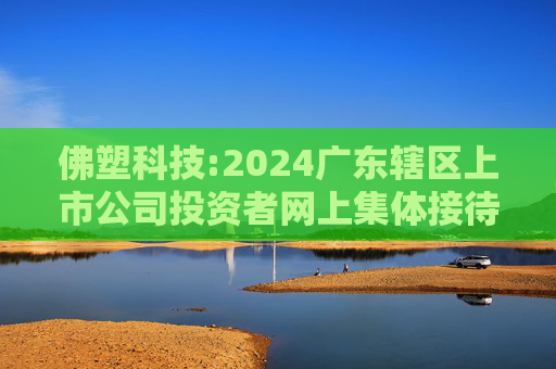 佛塑科技:2024广东辖区上市公司投资者网上集体接待日投资者关系活动记录表