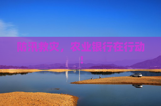 防汛救灾，农业银行在行动！