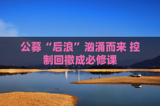 公募“后浪”汹涌而来 控制回撤成必修课