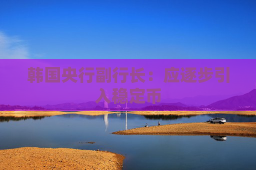 韩国央行副行长：应逐步引入稳定币