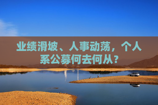 业绩滑坡、人事动荡，个人系公募何去何从？