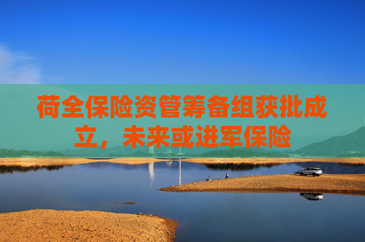 荷全保险资管筹备组获批成立，未来或进军保险