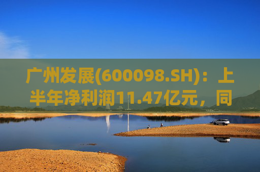 广州发展(600098.SH)：上半年净利润11.47亿元，同比增长2.73%