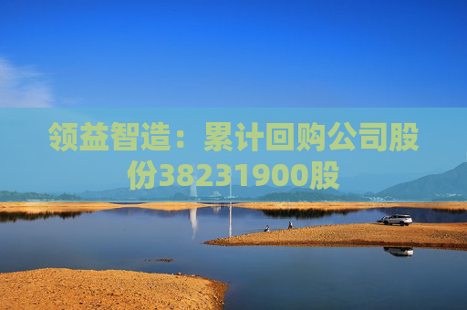 领益智造：累计回购公司股份38231900股