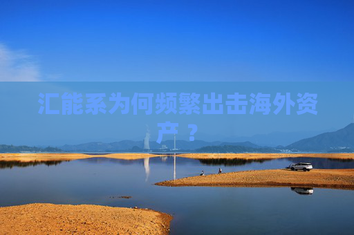 汇能系为何频繁出击海外资产 ？