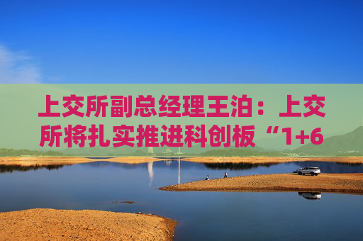 上交所副总经理王泊：上交所将扎实推进科创板“1+6”改革举措和示范案例落实落地