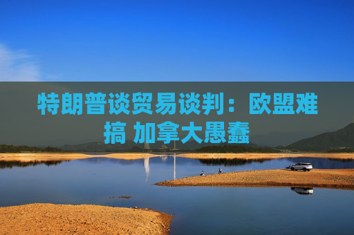 特朗普谈贸易谈判：欧盟难搞 加拿大愚蠢