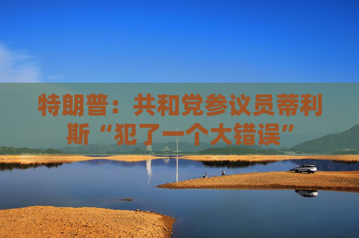 特朗普：共和党参议员蒂利斯“犯了一个大错误”
