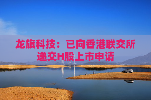 龙旗科技：已向香港联交所递交H股上市申请