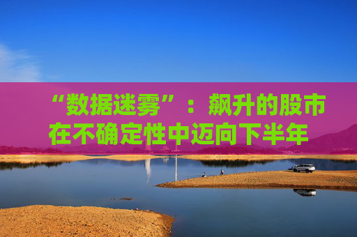 “数据迷雾”：飙升的股市在不确定性中迈向下半年
