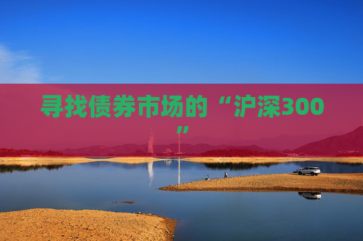 寻找债券市场的“沪深300”