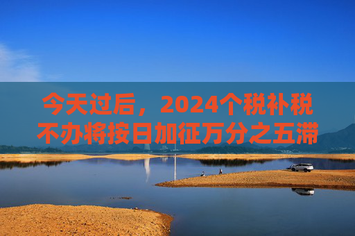 今天过后，2024个税补税不办将按日加征万分之五滞纳金