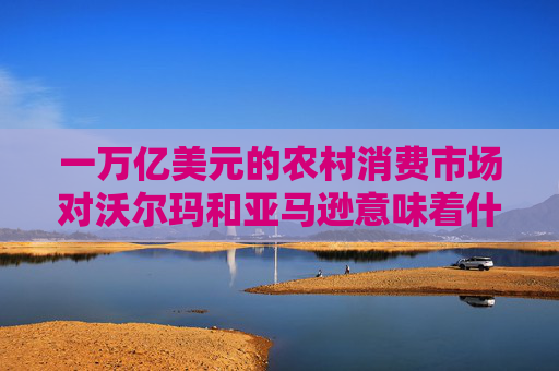 一万亿美元的农村消费市场对沃尔玛和亚马逊意味着什么