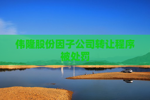 伟隆股份因子公司转让程序被处罚