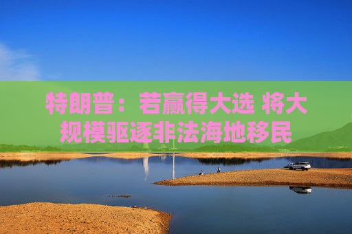 特朗普：若赢得大选 将大规模驱逐非法海地移民