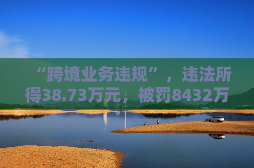 “跨境业务违规”，违法所得38.73万元，被罚8432万元！公司去年营收近19亿元，净利润8128万元