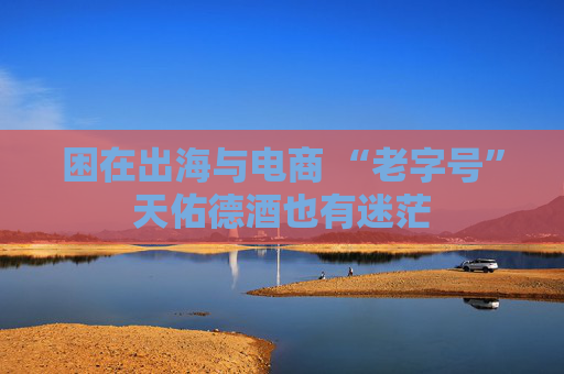 困在出海与电商 “老字号”天佑德酒也有迷茫