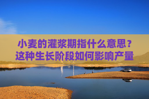 小麦的灌浆期指什么意思？这种生长阶段如何影响产量？