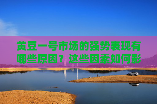 黄豆一号市场的强势表现有哪些原因？这些因素如何影响投资者的决策？